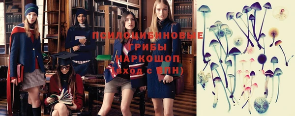 сатива Белокуриха