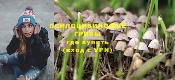 сатива Белокуриха