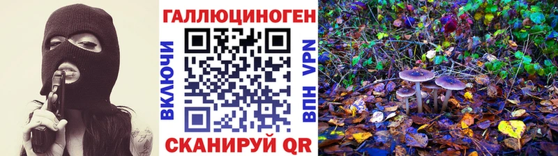 Галлюциногенные грибы Psilocybe купить Муравленко